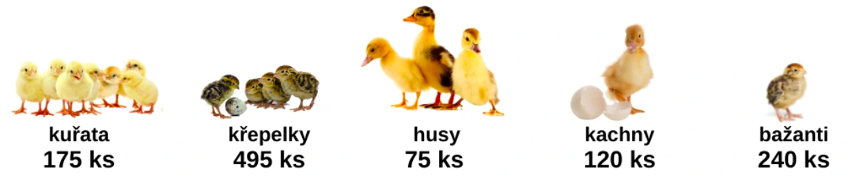 Snímka obrazovky 2026-03-14 o 13.21.47